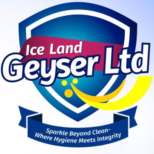 Iceland Geyser
